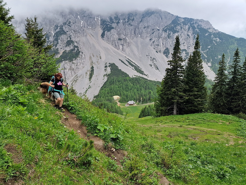 Slika je vidna v Google Chromu.