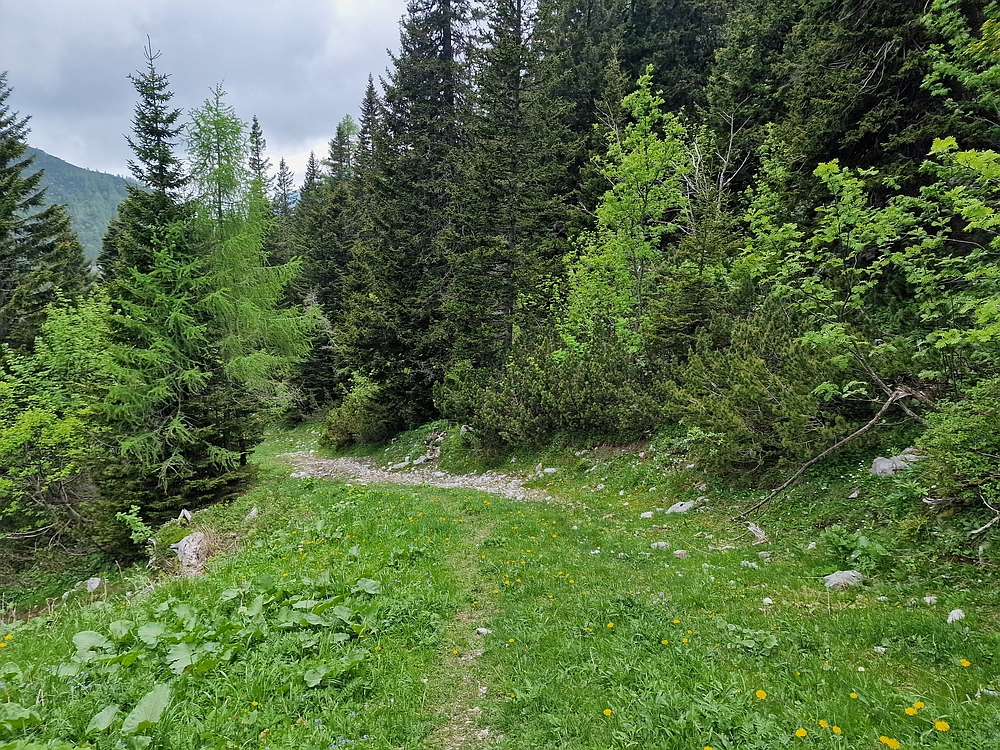 Slika je vidna v Google Chromu.