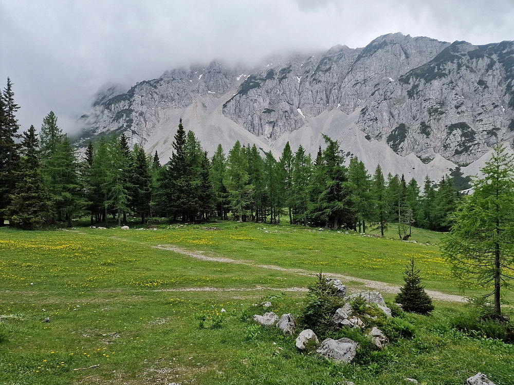 Slika je vidna v Google Chromu.