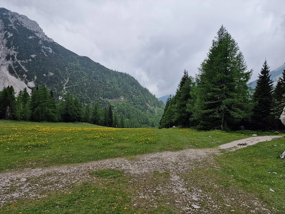 Slika je vidna v Google Chromu.