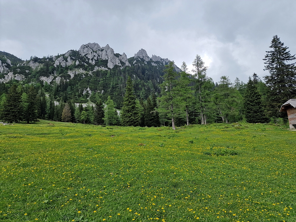 Slika je vidna v Google Chromu.