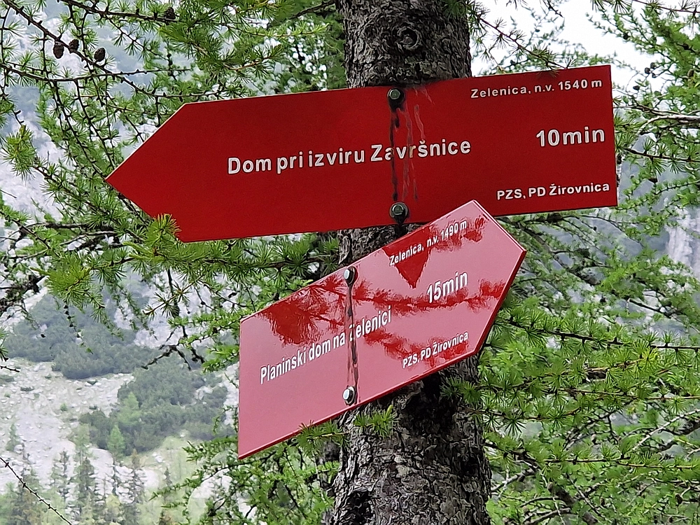 Slika je vidna v Google Chromu.