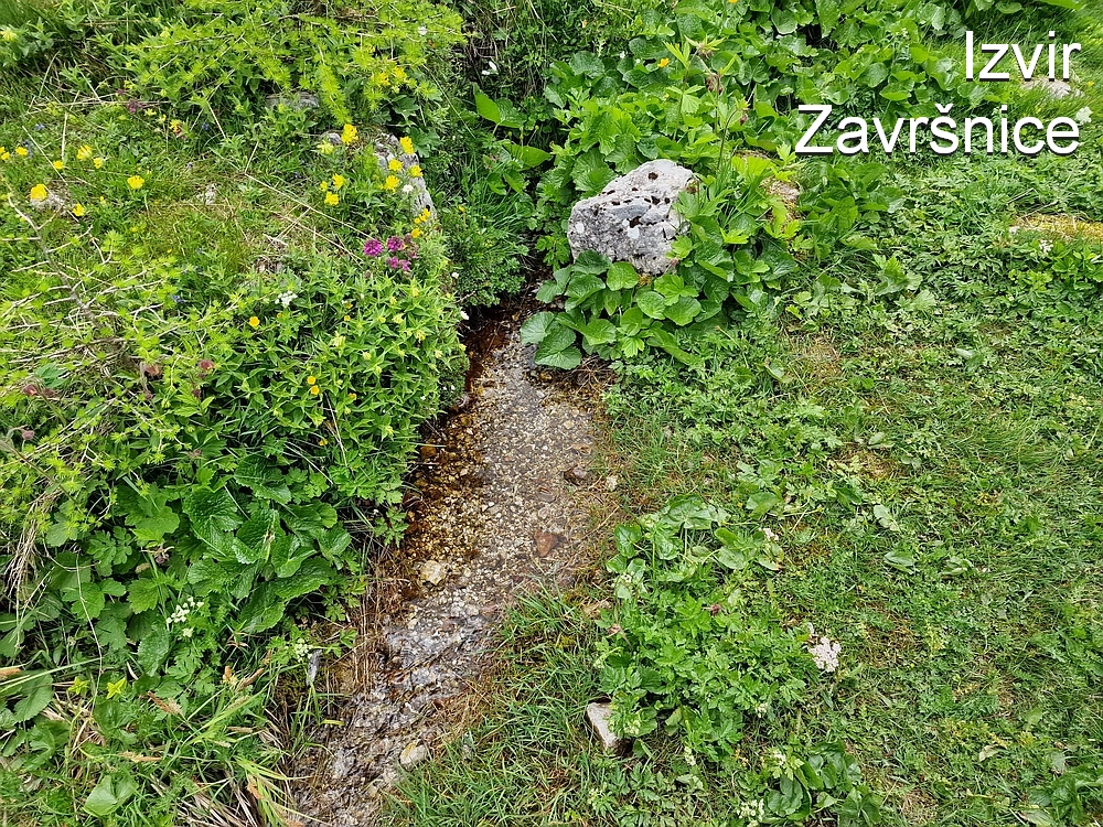 Slika je vidna v Google Chromu.