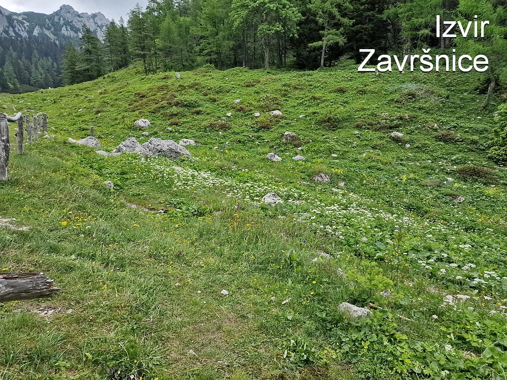 Slika je vidna v Google Chromu.