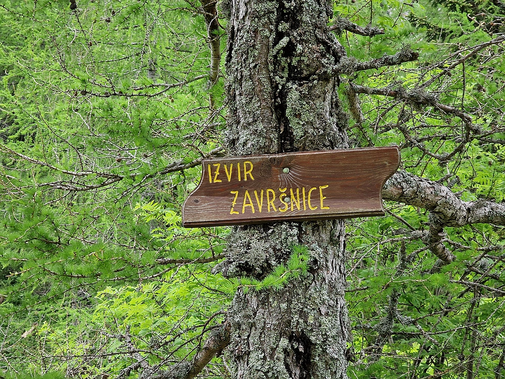 Slika je vidna v Google Chromu.