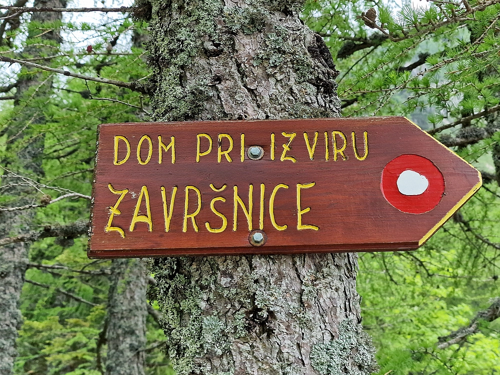 Slika je vidna v Google Chromu.