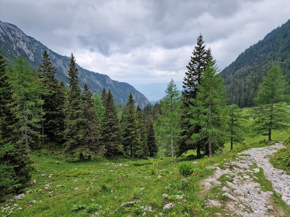 Slika je vidna v Google Chromu.