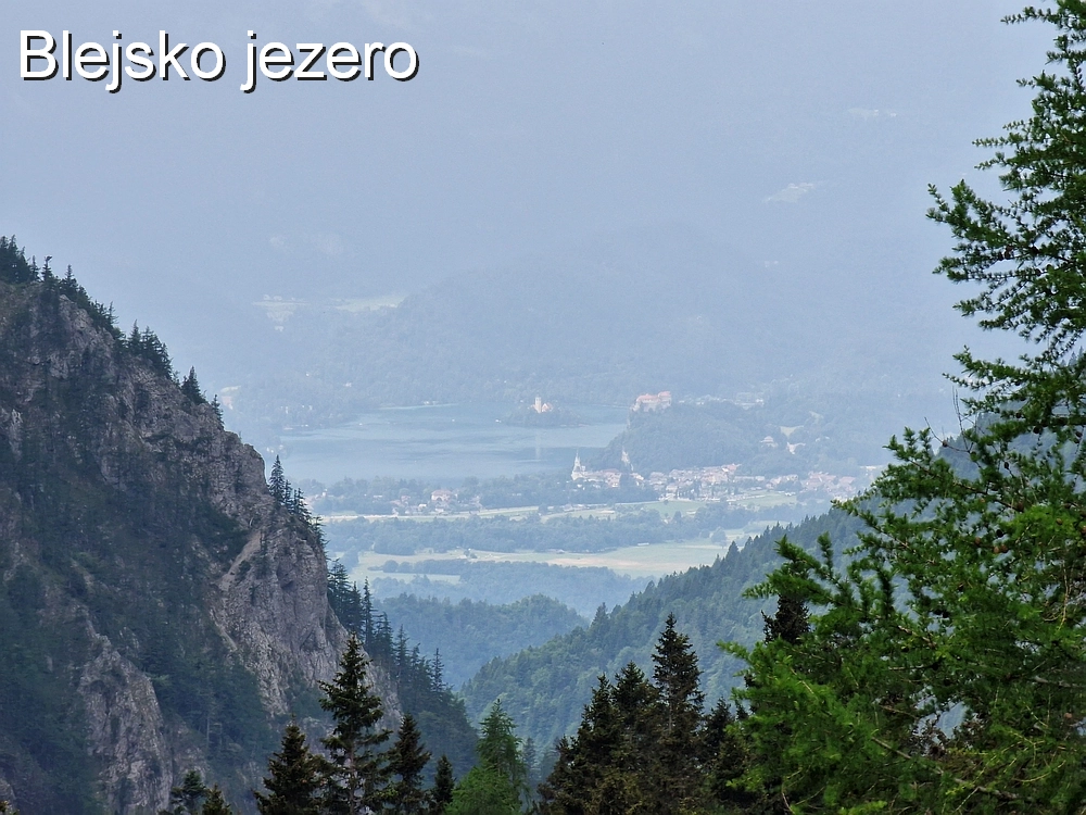 Slika je vidna v Google Chromu.