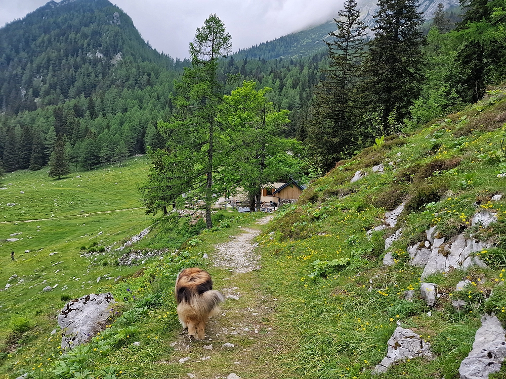 Slika je vidna v Google Chromu.