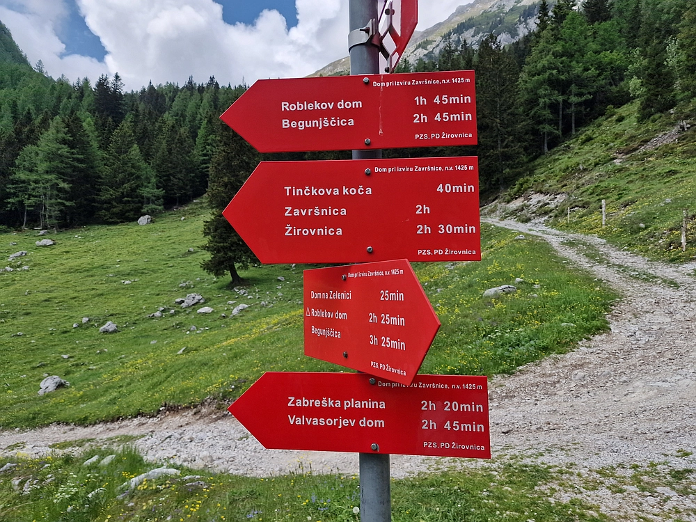 Slika je vidna v Google Chromu.