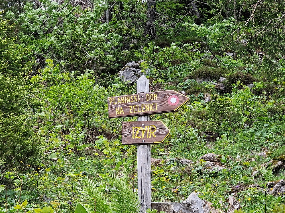 Slika je vidna v Google Chromu.