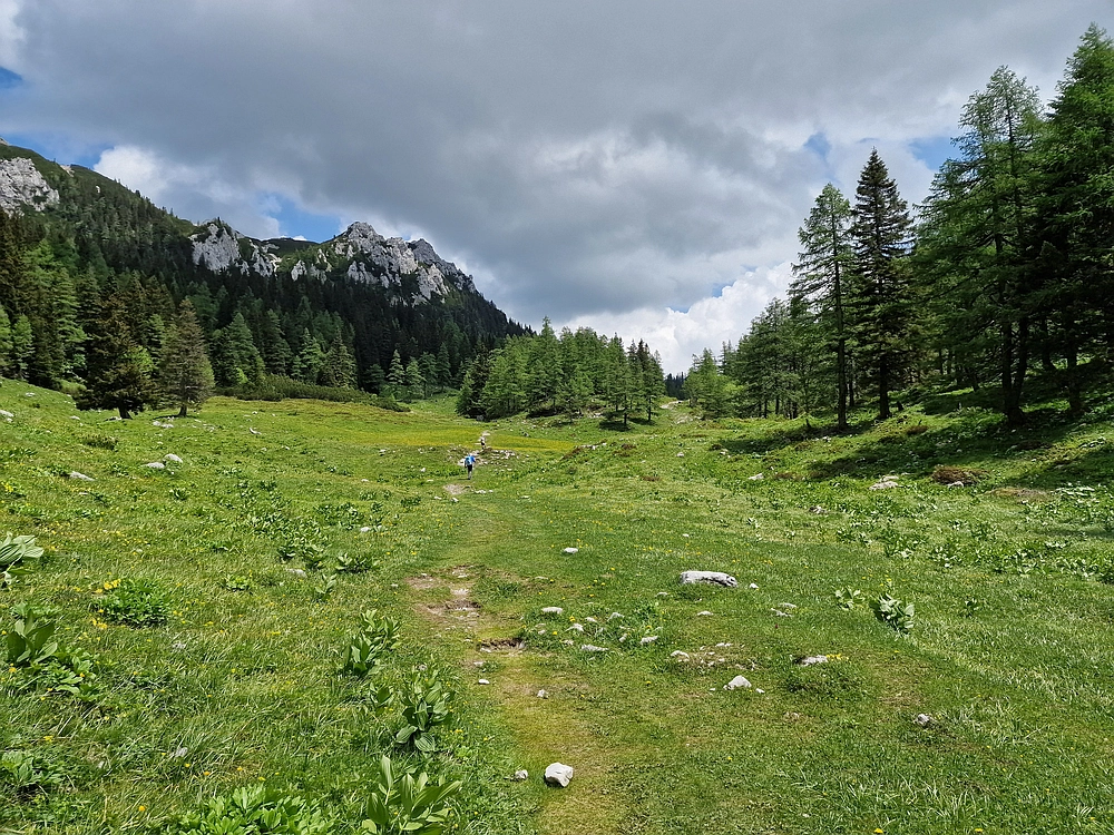 Slika je vidna v Google Chromu.