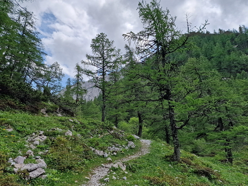 Slika je vidna v Google Chromu.