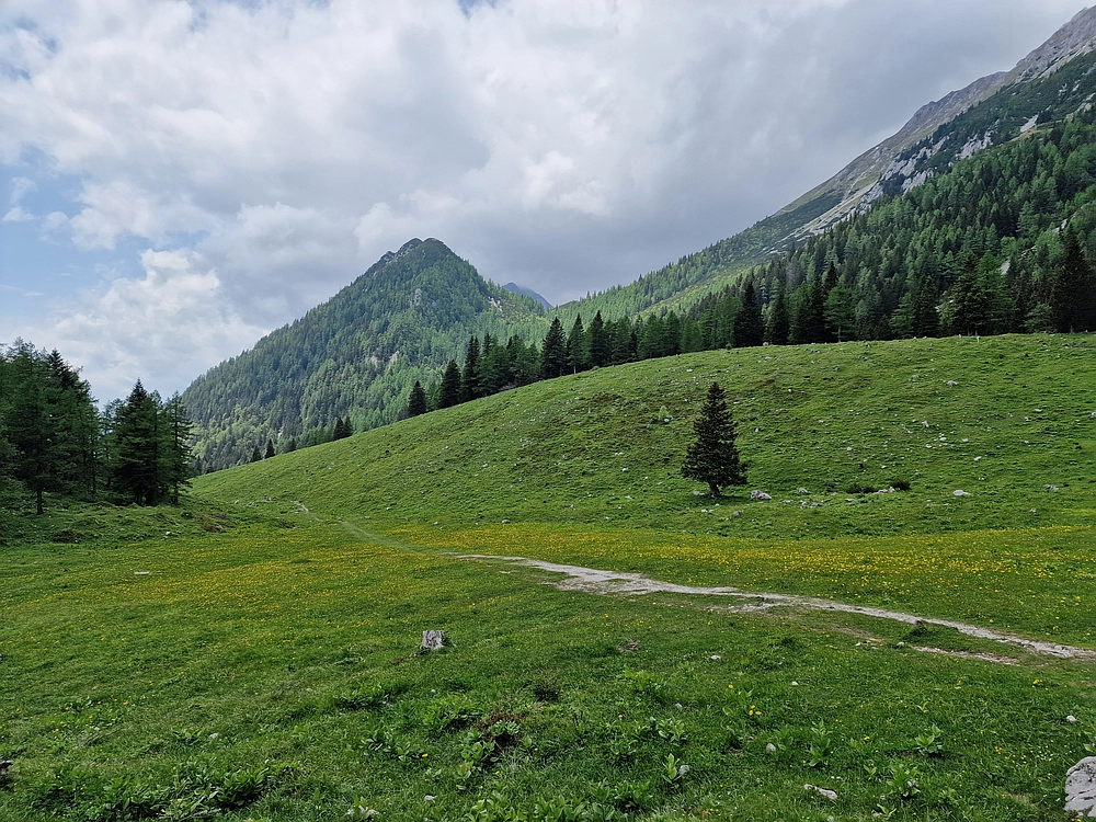 Slika je vidna v Google Chromu.