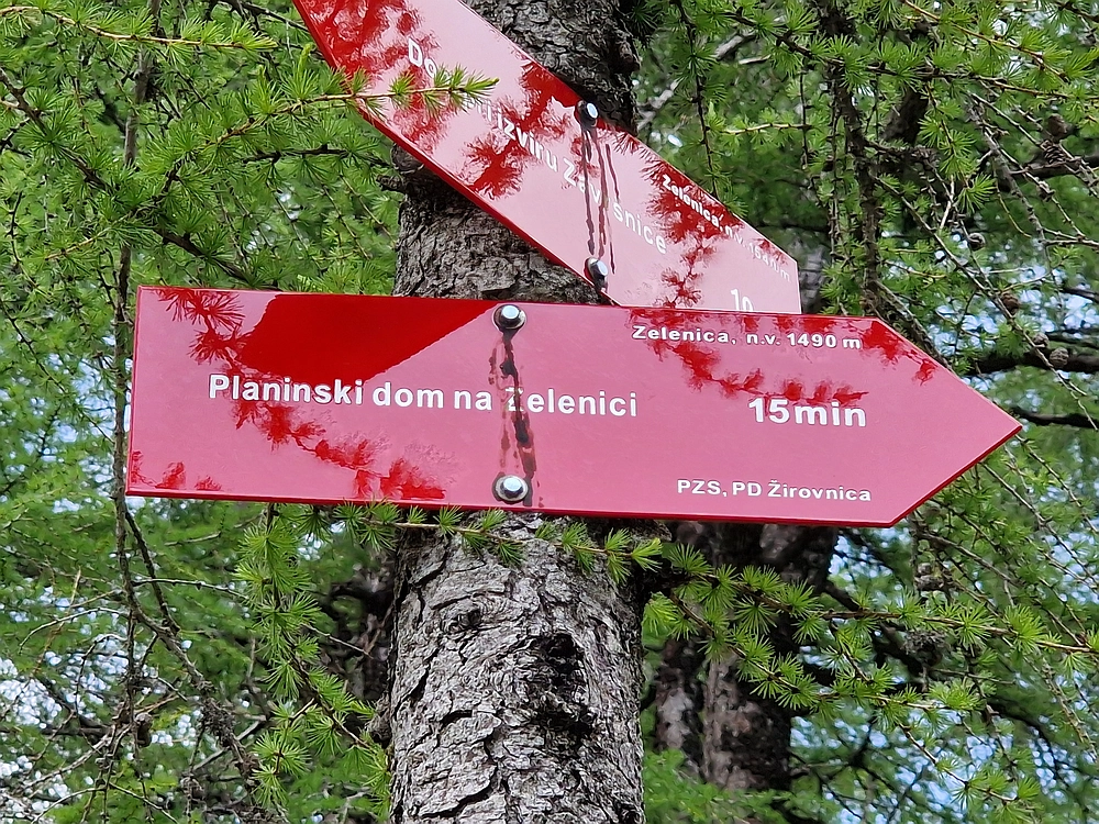 Slika je vidna v Google Chromu.