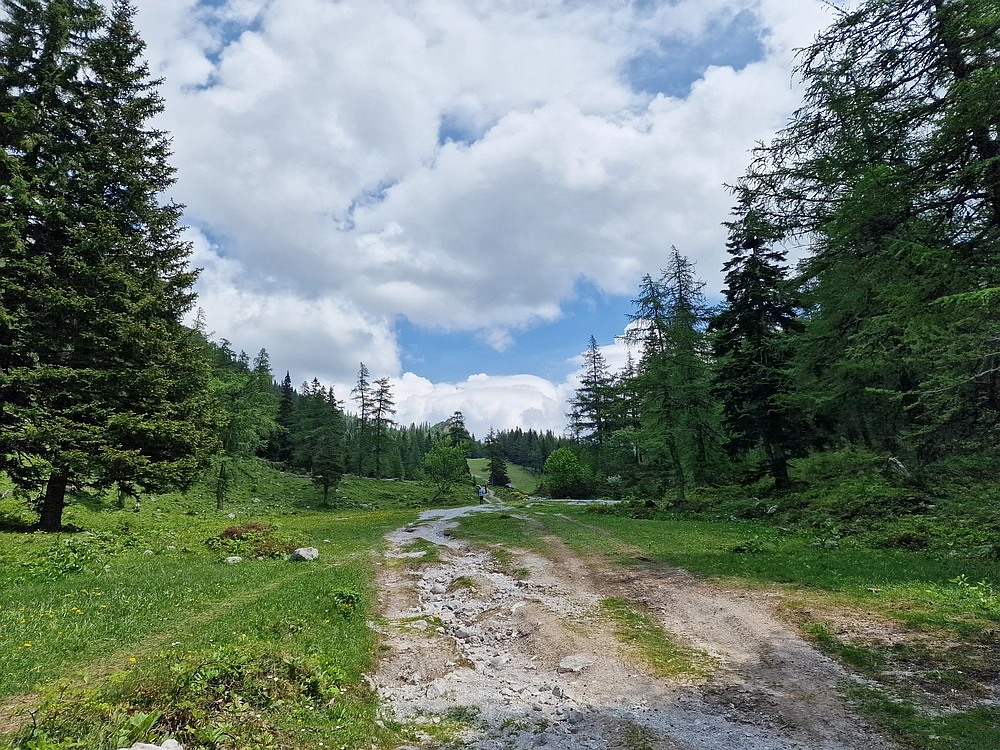Slika je vidna v Google Chromu.