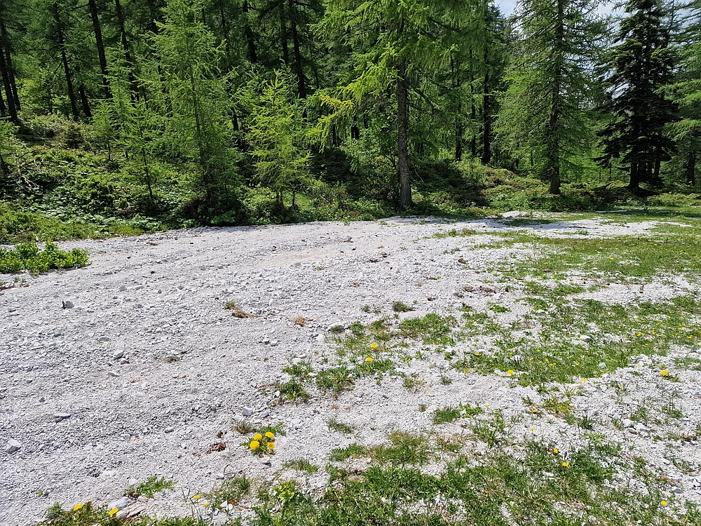 Slika je vidna v Google Chromu.