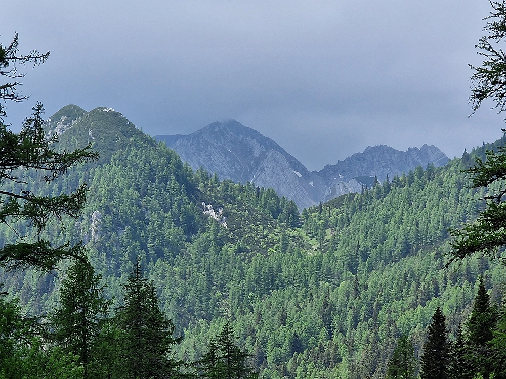 Slika je vidna v Google Chromu.
