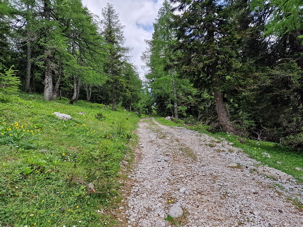 Slika je vidna v Google Chromu.