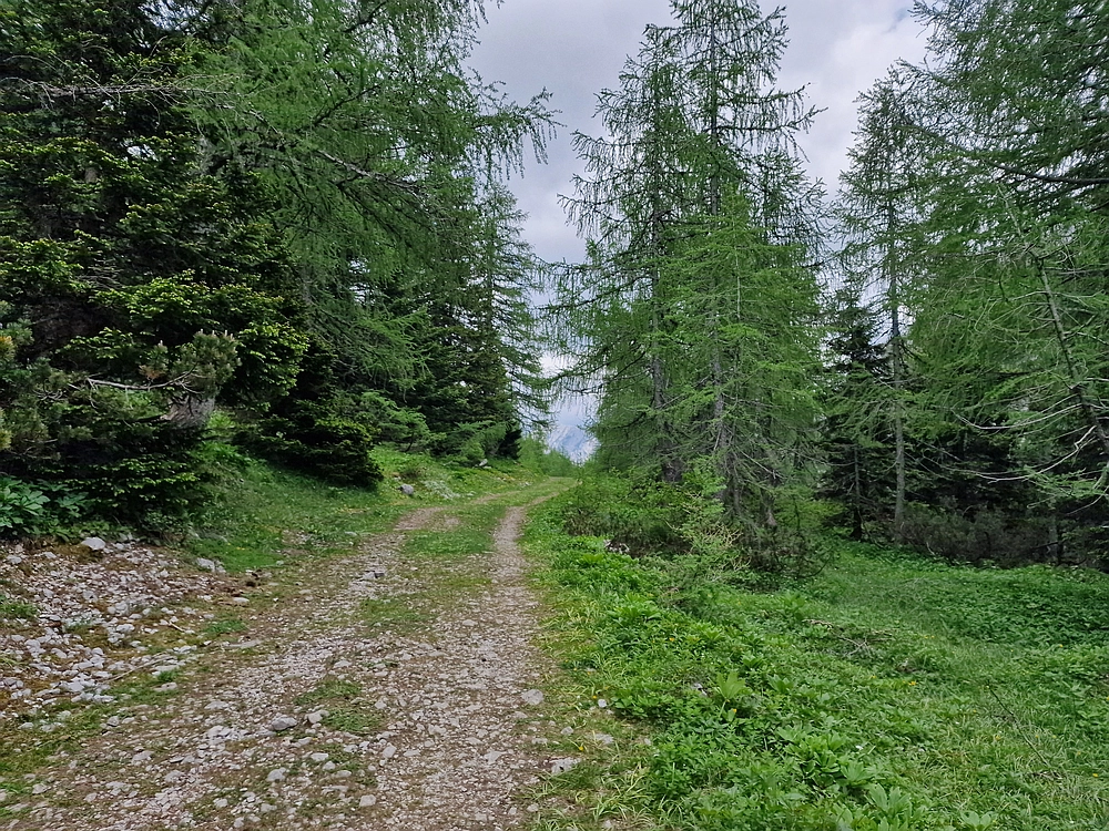 Slika je vidna v Google Chromu.