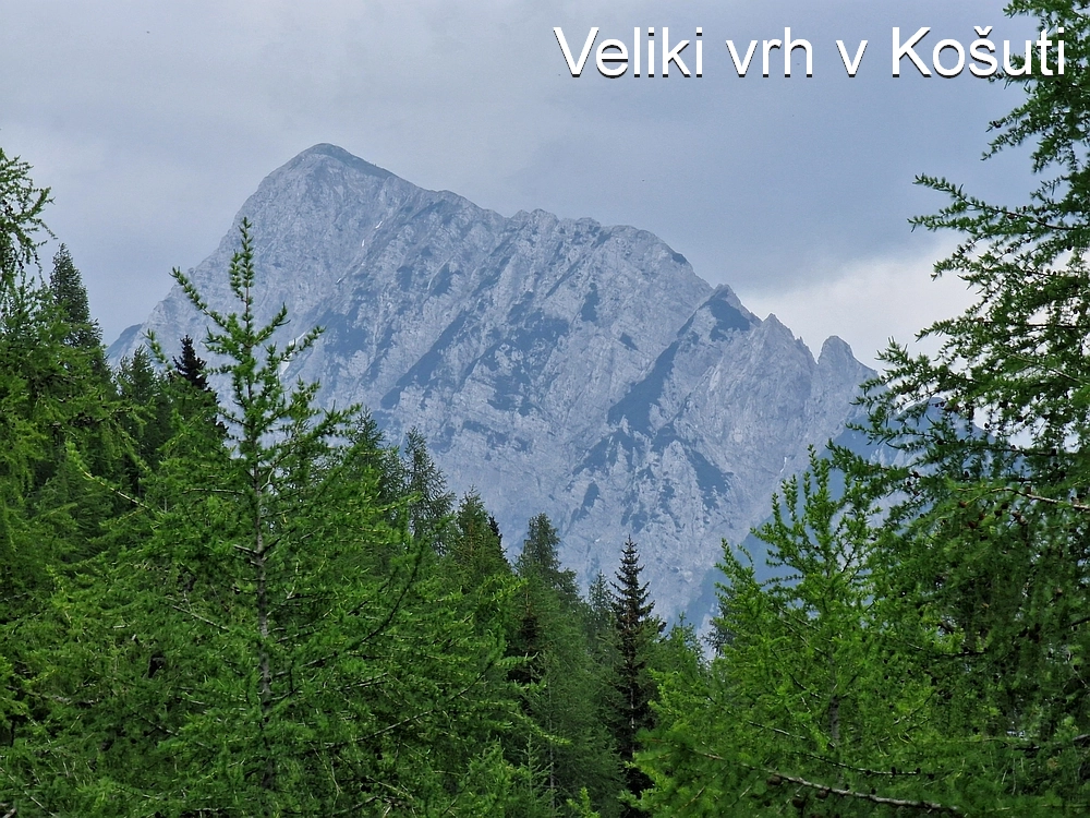 Slika je vidna v Google Chromu.