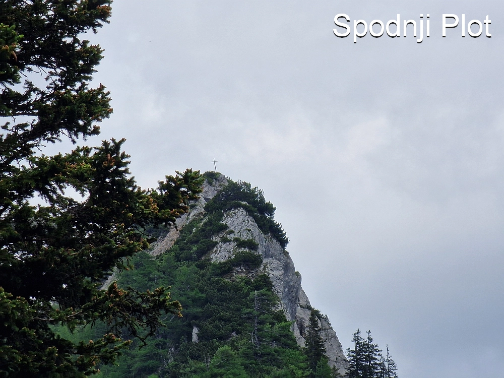 Slika je vidna v Google Chromu.