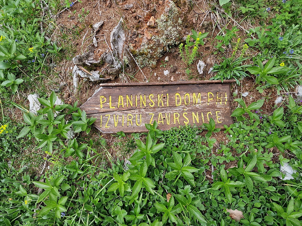 Slika je vidna v Google Chromu.