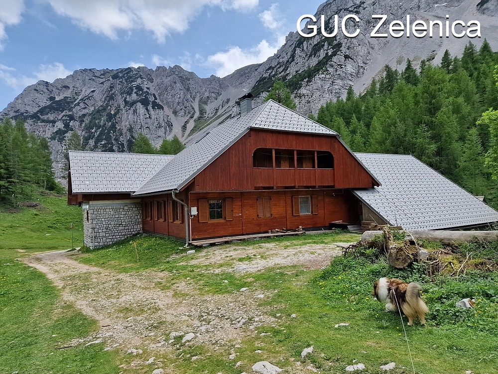 Slika je vidna v Google Chromu.