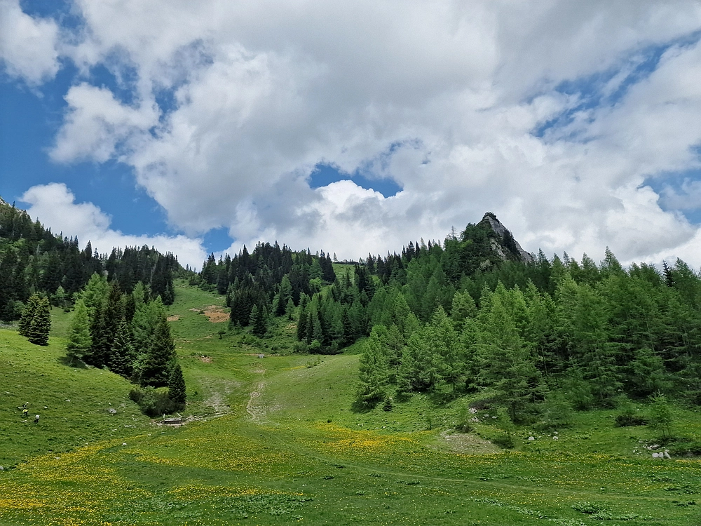 Slika je vidna v Google Chromu.
