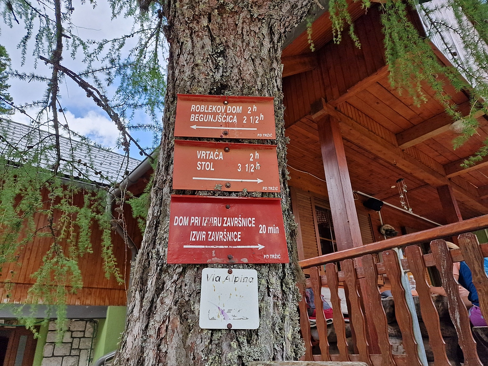 Slika je vidna v Google Chromu.