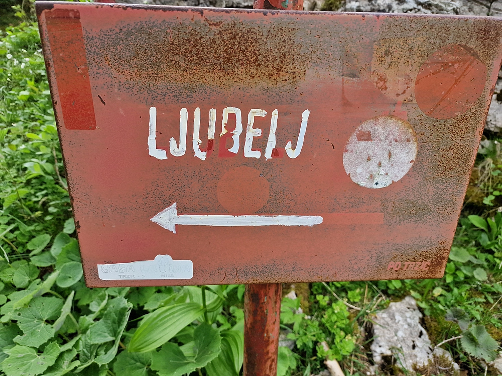 Slika je vidna v Google Chromu.