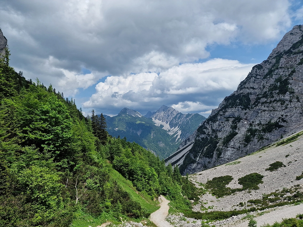 Slika je vidna v Google Chromu.