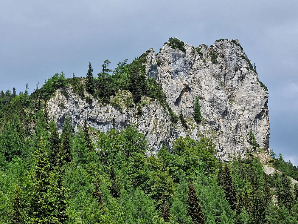 Slika je vidna v Google Chromu.