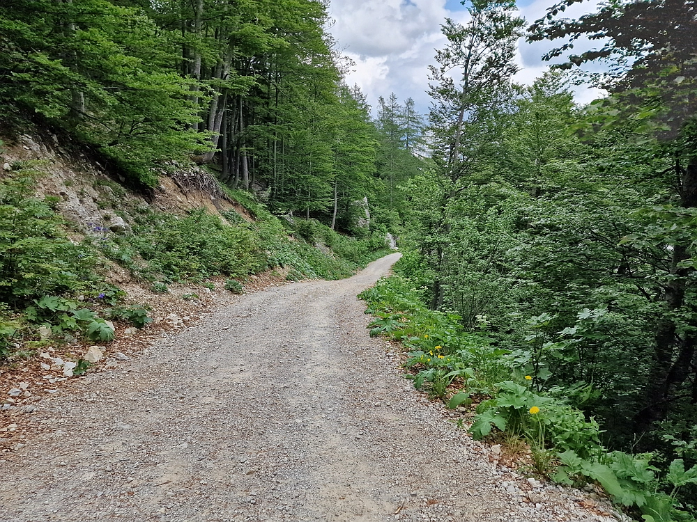 Slika je vidna v Google Chromu.