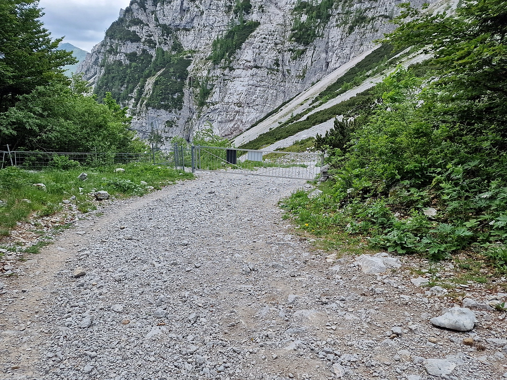 Slika je vidna v Google Chromu.