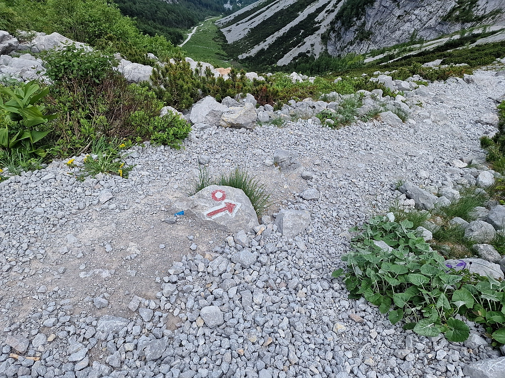 Slika je vidna v Google Chromu.