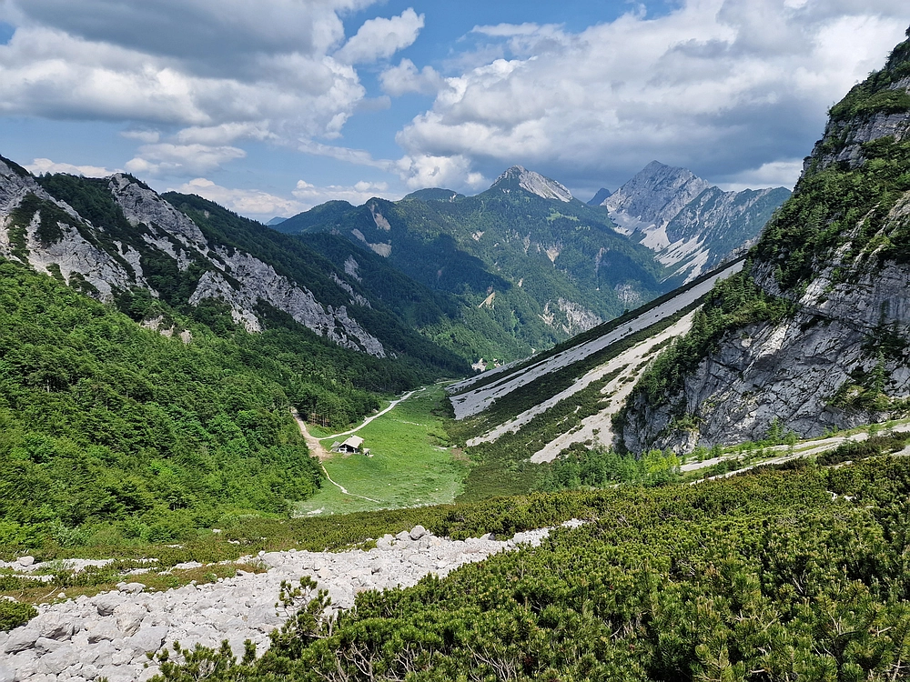 Slika je vidna v Google Chromu.