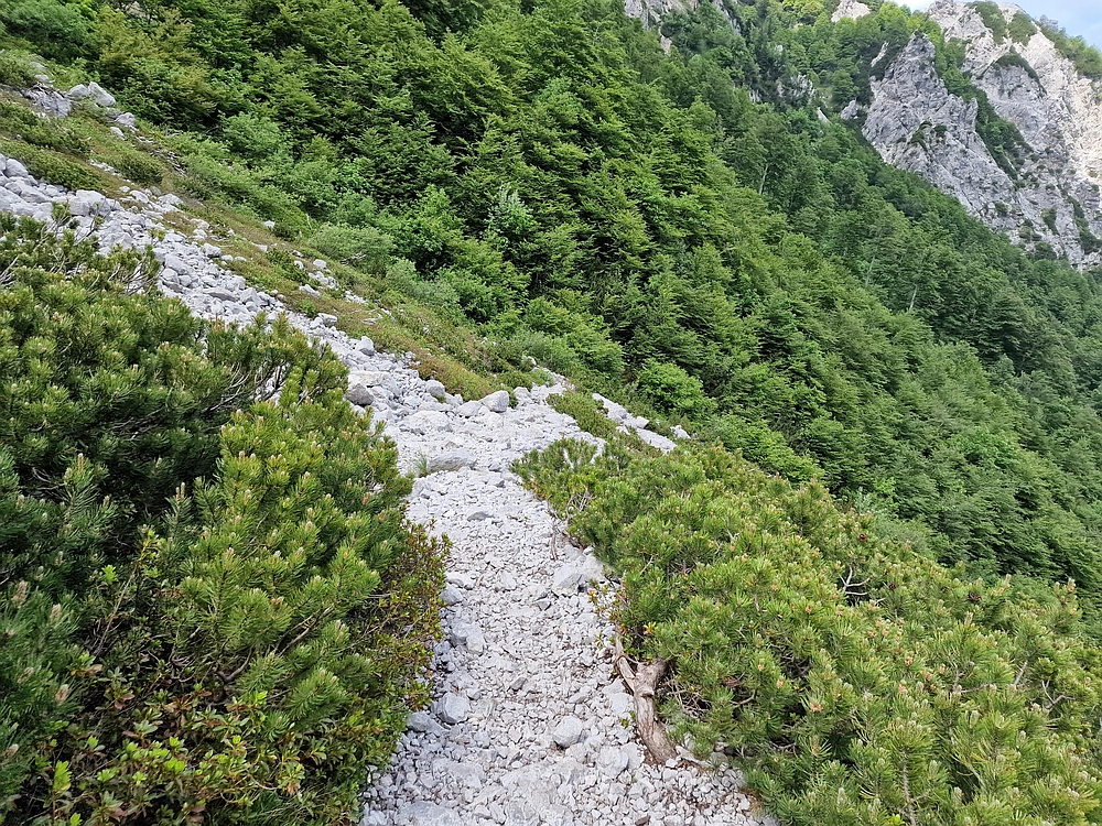 Slika je vidna v Google Chromu.