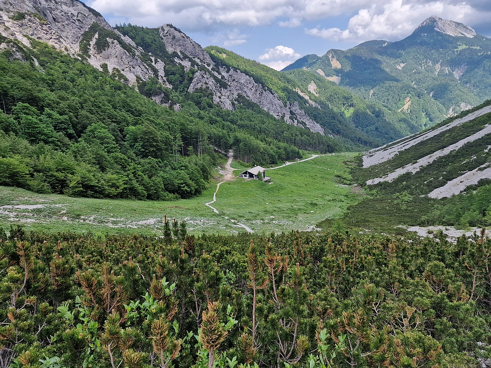 Slika je vidna v Google Chromu.