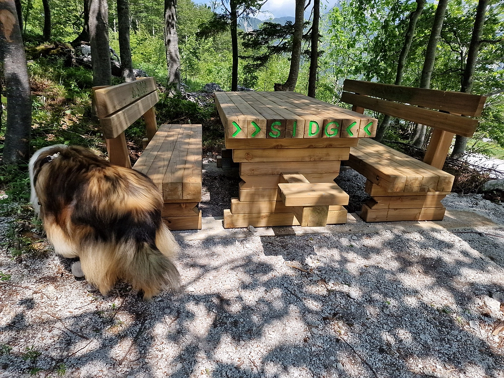 Slika je vidna v Google Chromu.