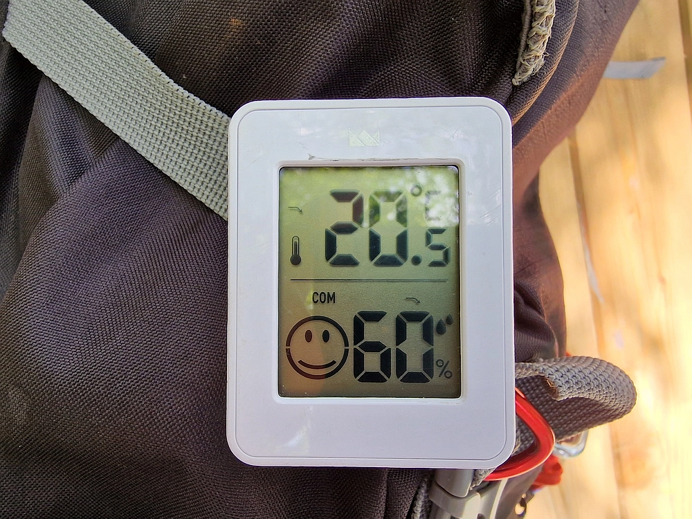 Slika je vidna v Google Chromu.