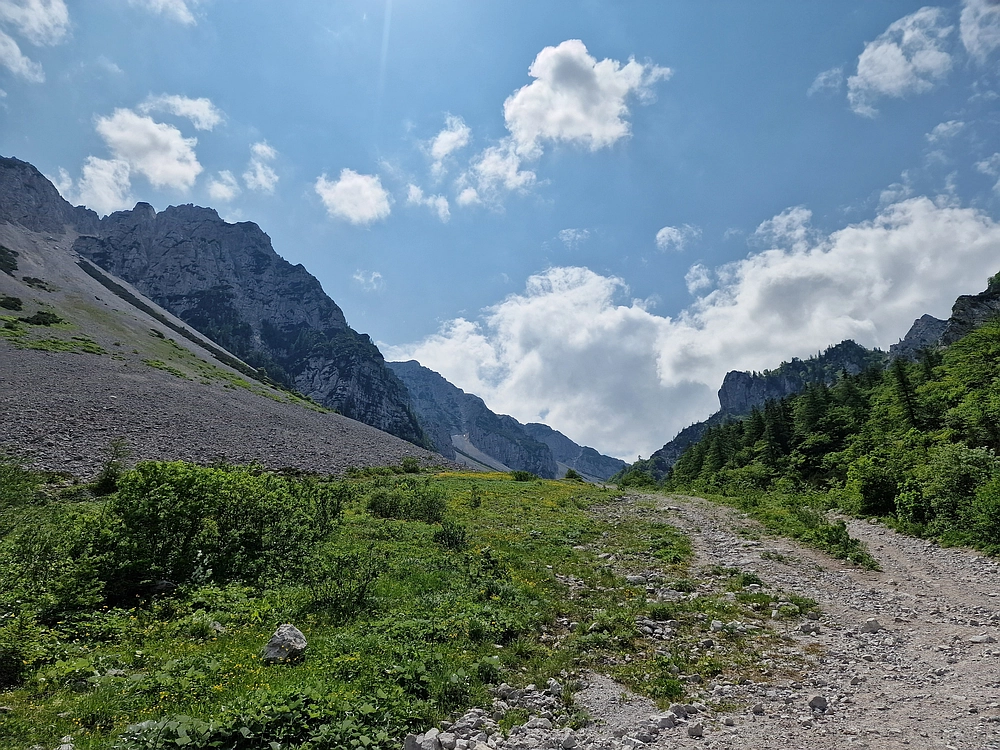 Slika je vidna v Google Chromu.
