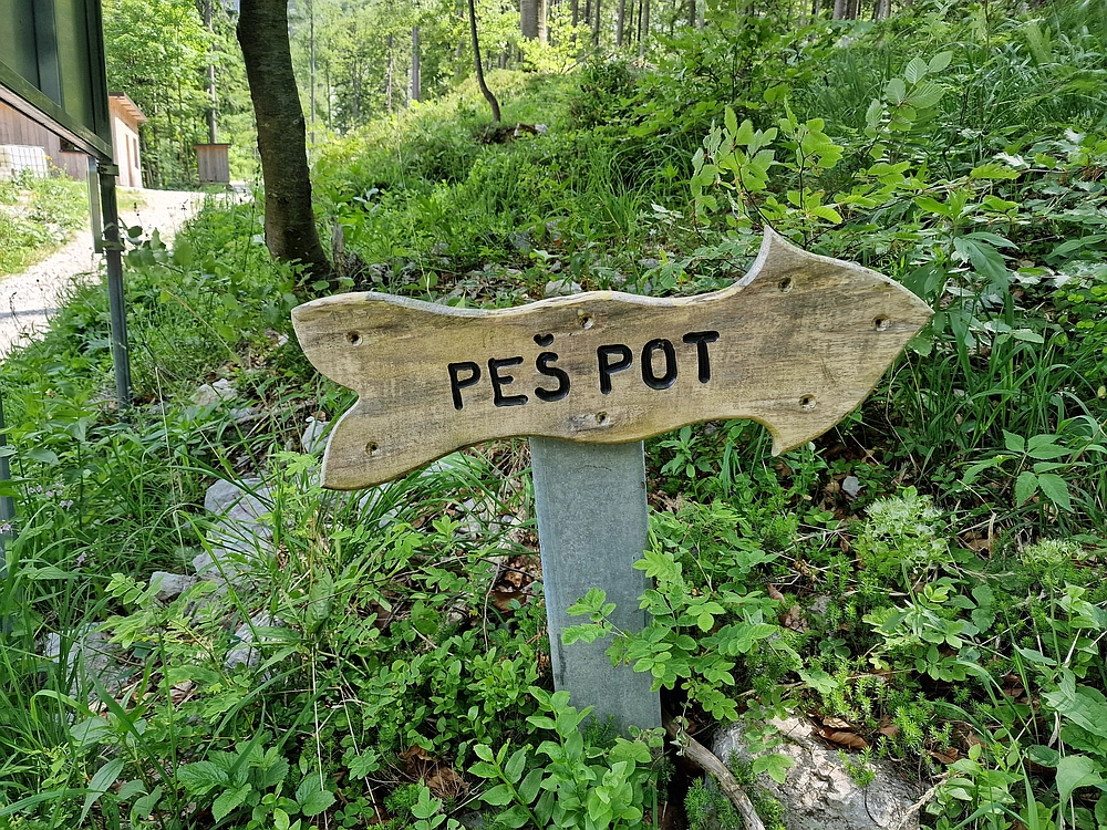 Slika je vidna v Google Chromu.