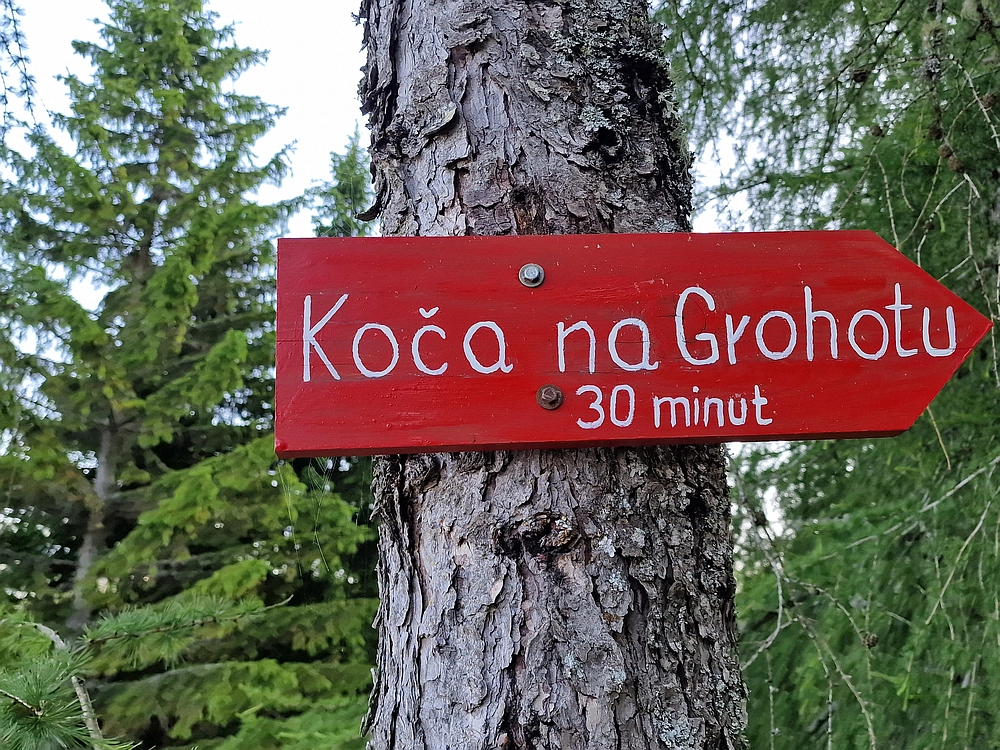 Slika je vidna v Google Chromu.