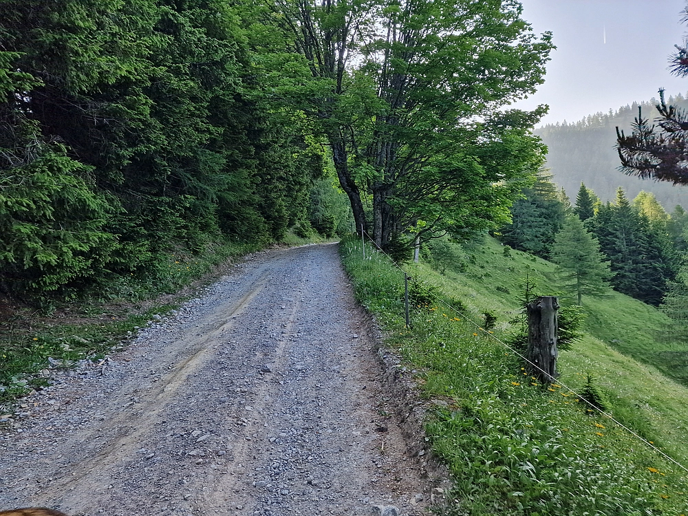 Slika je vidna v Google Chromu.