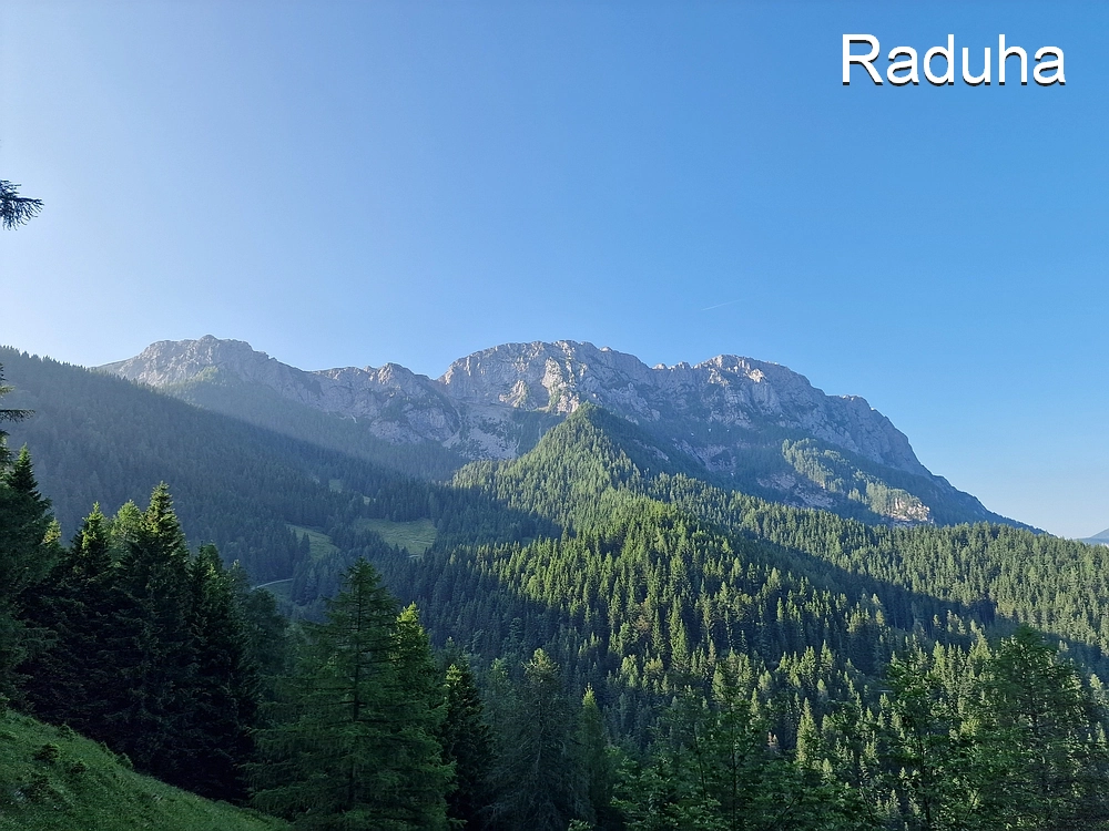 Slika je vidna v Google Chromu.