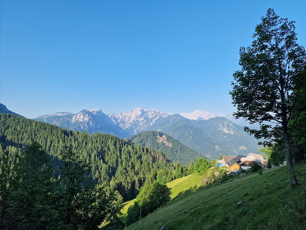 Slika je vidna v Google Chromu.