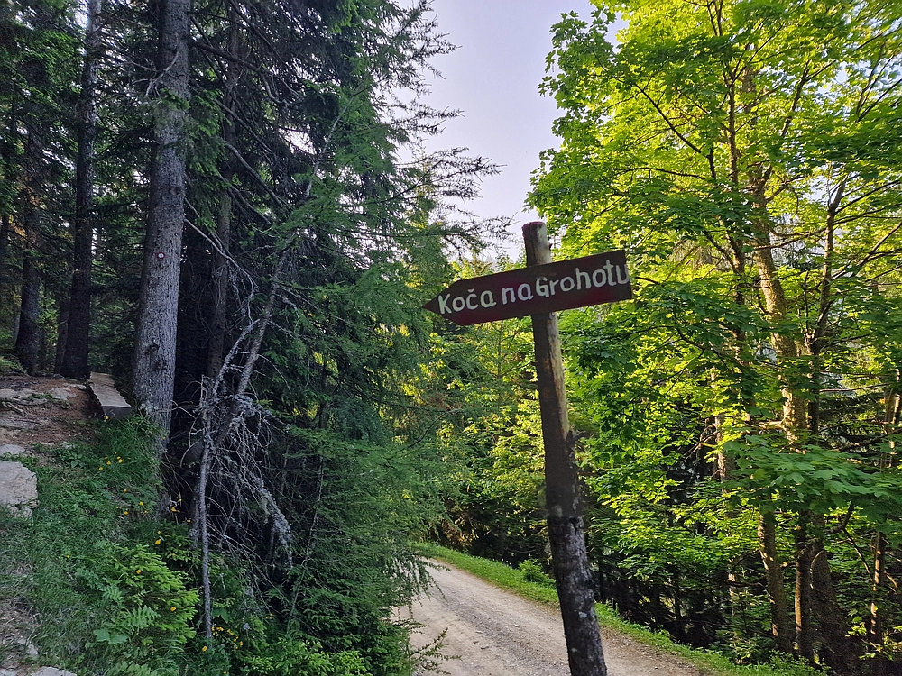 Slika je vidna v Google Chromu.