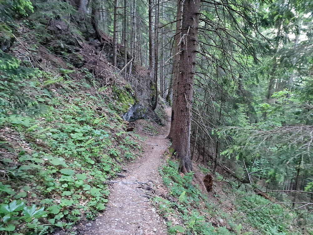 Slika je vidna v Google Chromu.