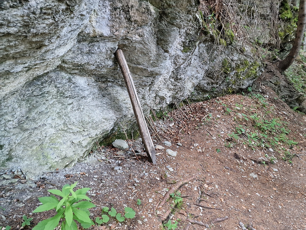 Slika je vidna v Google Chromu.